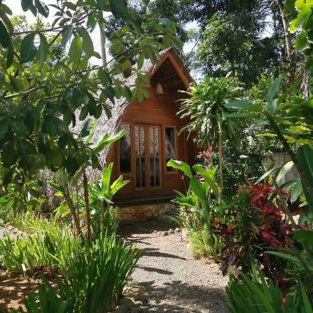 Coconut Tree Cottages Batukaras Экстерьер фото
